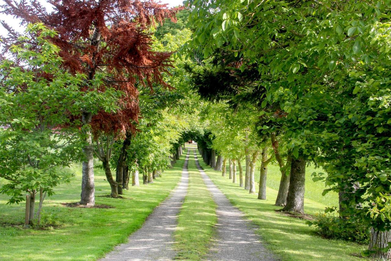 Domaine Des Marronniers Holiday home